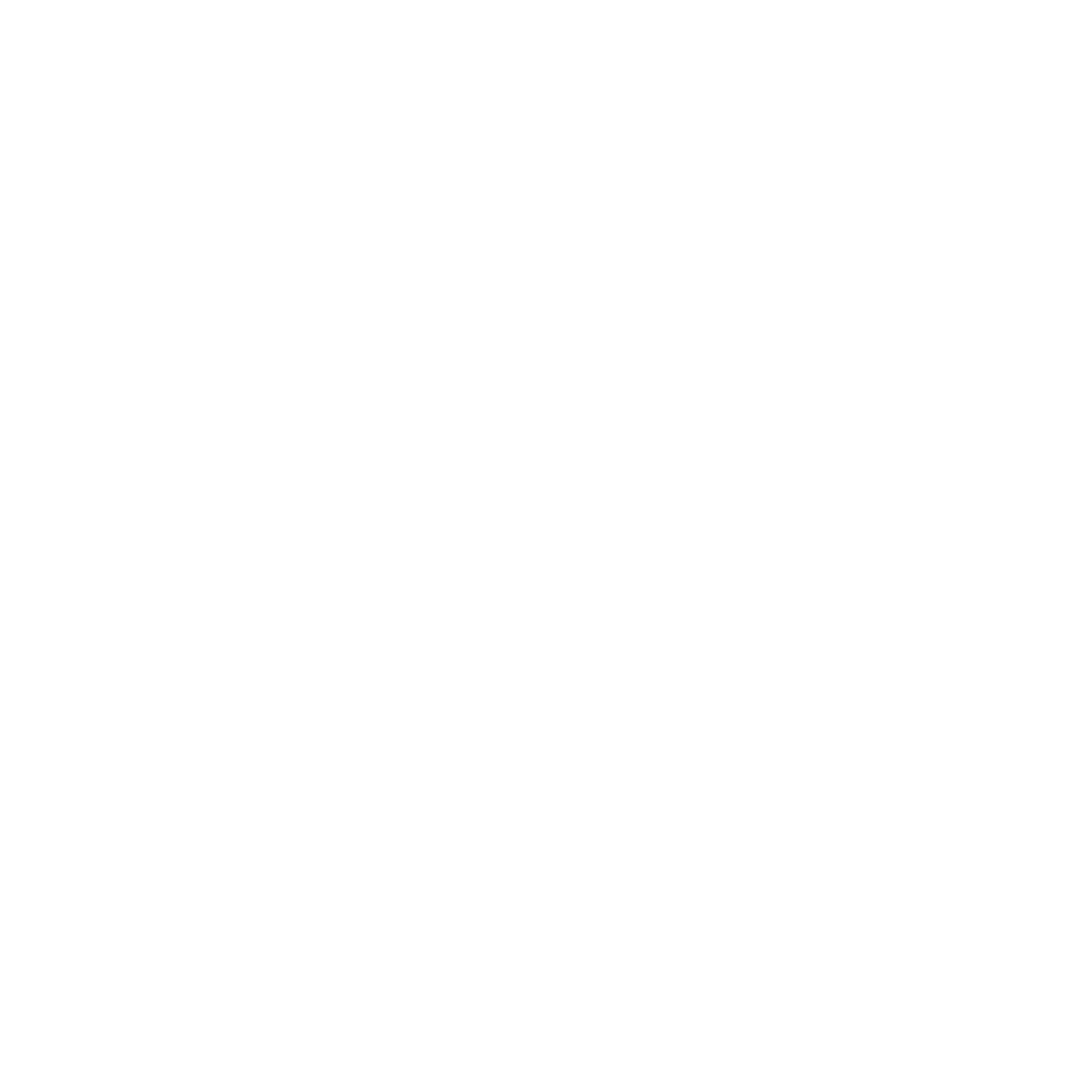 Logo final E2W - blanco